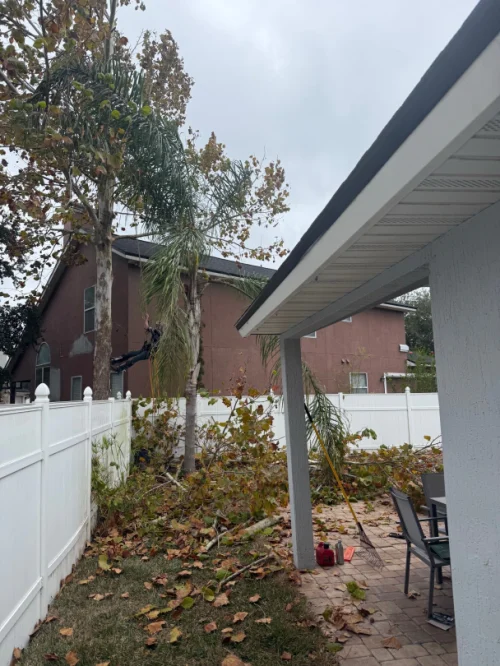 a1 all american tree service jacksonville fl 2025 12 22T18:20:07.205509Z 23449