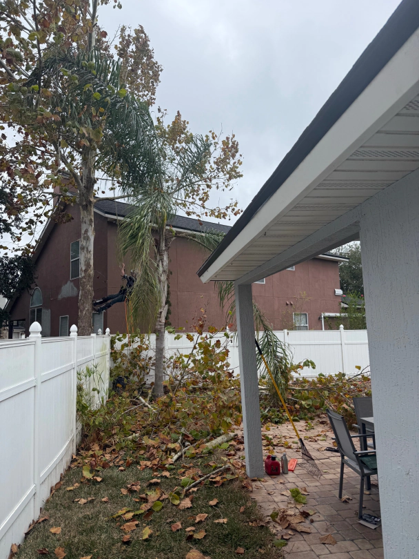 a1 all american tree service jacksonville fl 2025 12 22T18:20:07.205509Z 23449